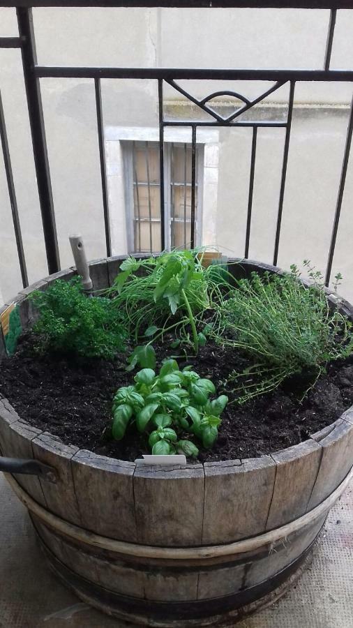 Gite Au Coeur De Volnay Beaune  Kültér fotó